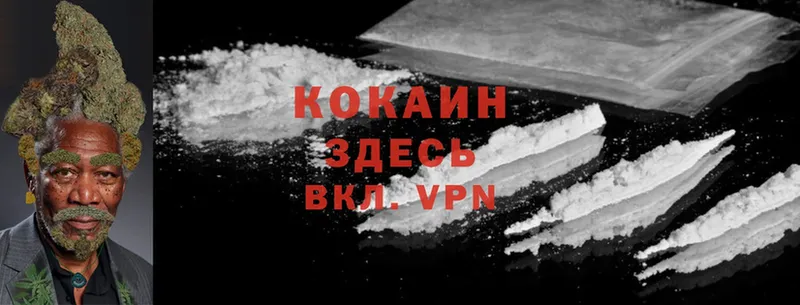 Cocaine Боливия  где продают наркотики  Кузнецк 