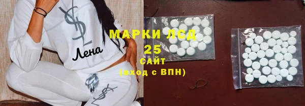ПСИЛОЦИБИНОВЫЕ ГРИБЫ Нязепетровск