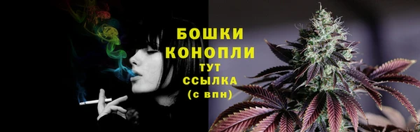 ПСИЛОЦИБИНОВЫЕ ГРИБЫ Нязепетровск