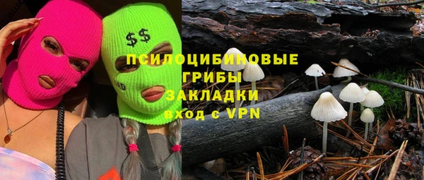 не бодяженный Ладушкин