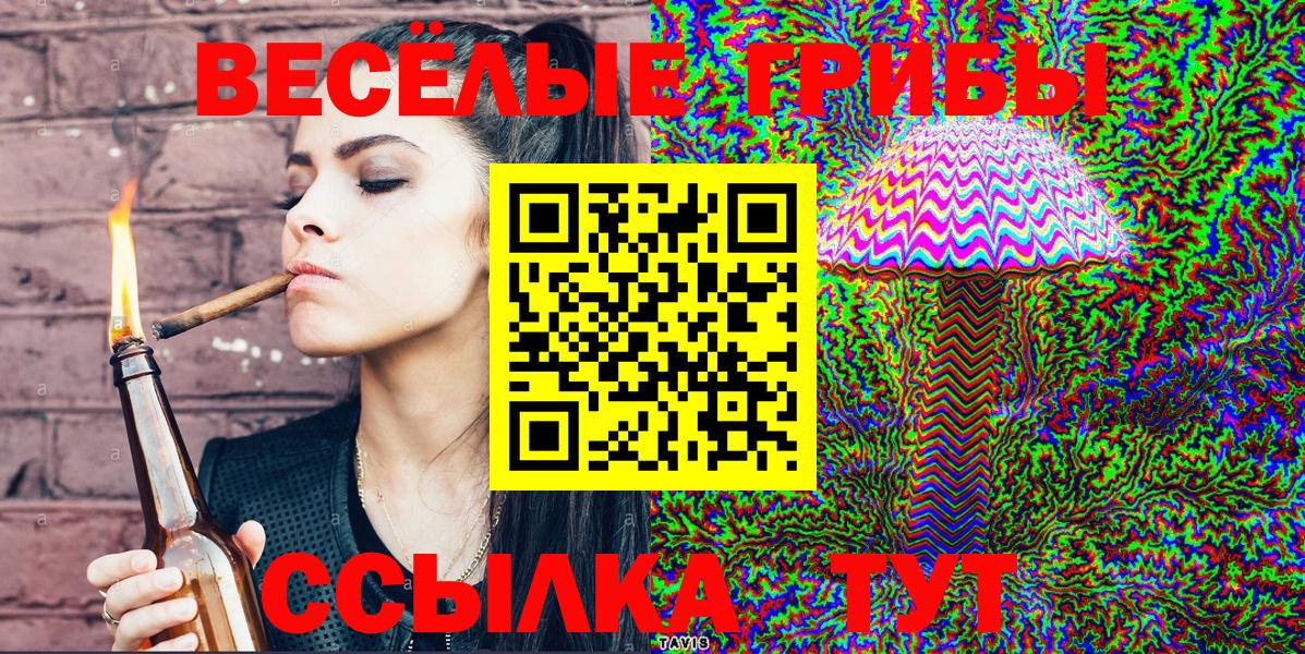 Галлюциногенные грибы GOLDEN TEACHER Кузнецк