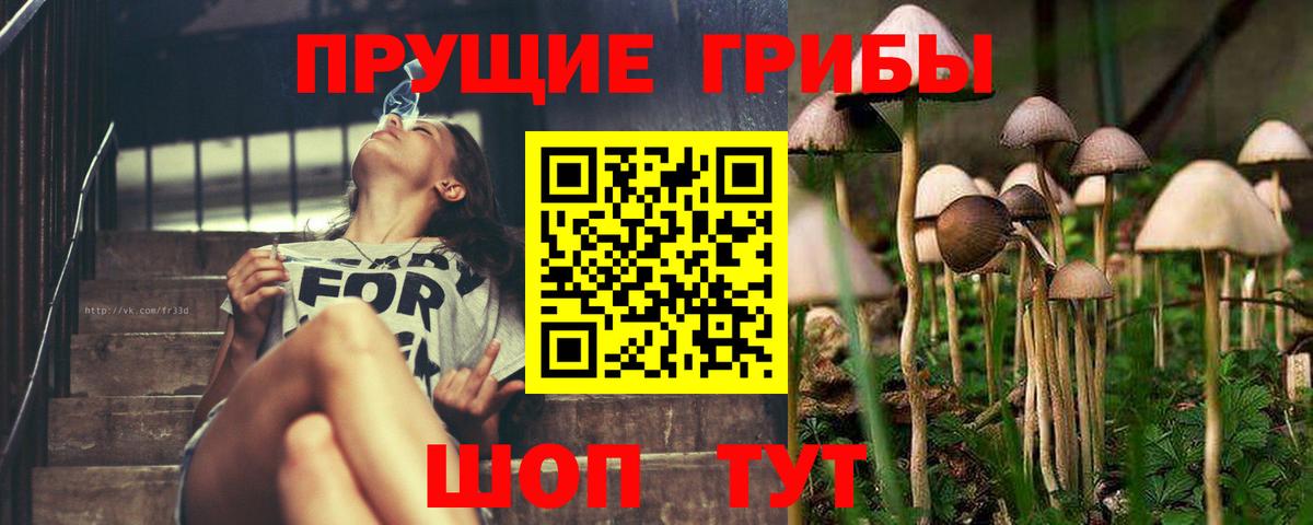 Кузнецк  ГАШИШ  МЕТАМФЕТАМИН  NBOMe  КОКАИН  Гашиш  Мефедрон кристаллы  Вход с VPN  МАРИХУАНА 
