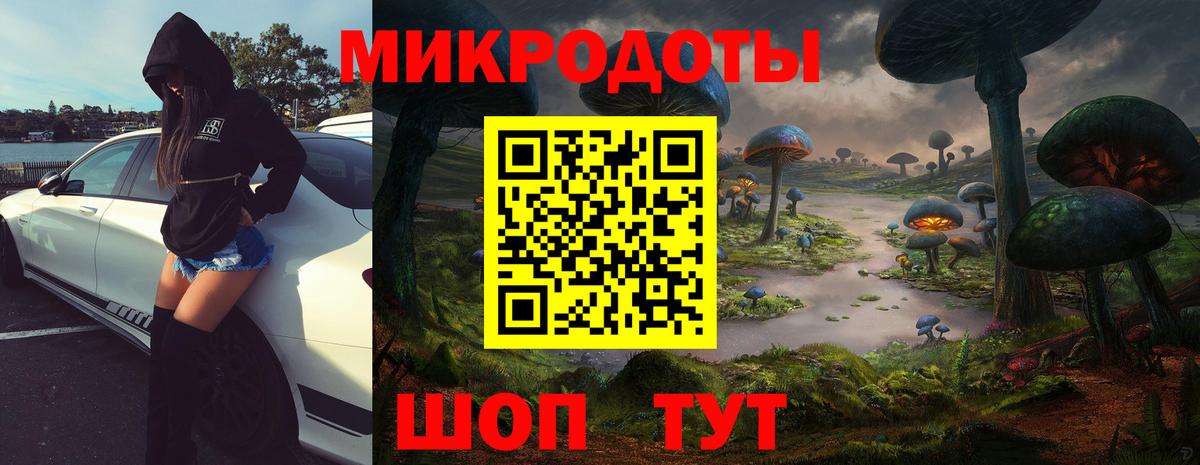 Кузнецк  Галлюциногенные грибы Psilocybine cubensis  Вход с VPN 